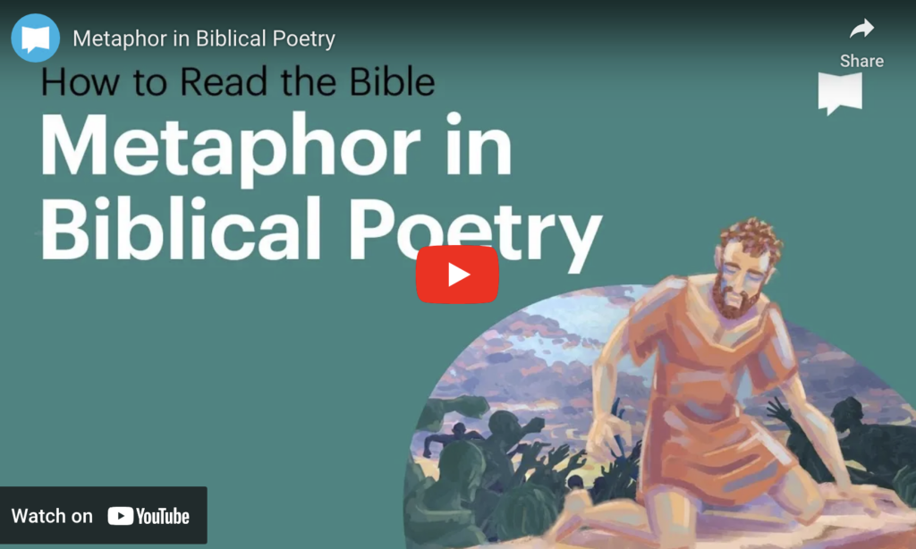 Metaphor in Biblical Poetry | How to read the bible